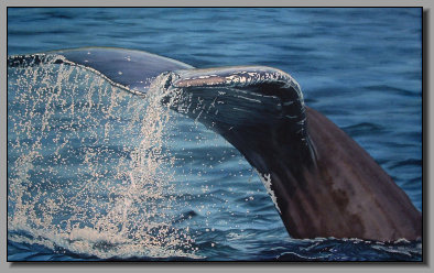 Humpback Whale, Black Fish Sound